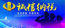 税务筹划咨询
